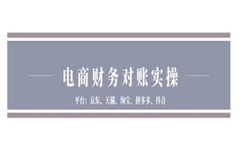 电商财务管理实战教程：京东、天猫、淘宝、拼多多及抖音平台财务对账指南