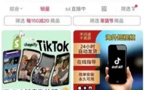 海外版抖音项目，教人安装TikTok，利用信息差日入1000+