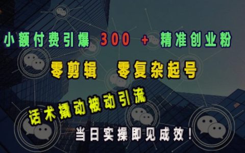 低成本启动精准创业社群：零剪辑零基础快速吸粉300+，话术引流当日见效实战指南