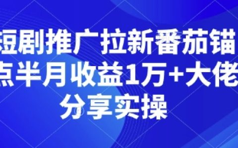 短剧推广拉新番茄锚点半月收益1万+大佬分享实操