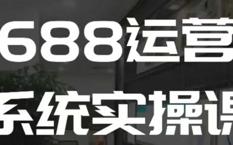 1688高级店铺运营实战教程：快速掌握核心技巧与策略