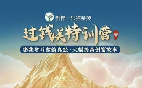 剽悍一只猫过钱关特训营：掌握营销精髓，大幅提升创富效率