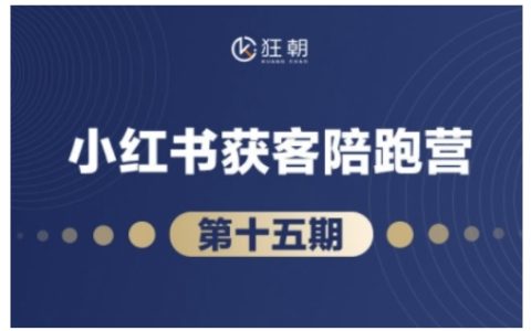 抖音小红书视频号直播带货技巧，11-15期教程，打造爆款内容实现高效变现