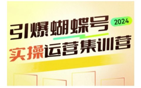 深度解析蝴蝶号运营策略，实战技巧助力高效实操，开启全新流量变现之旅