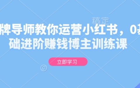 金牌讲师指导小红书运营，0基础至高手博主进阶训练营，手把手教你实现盈利