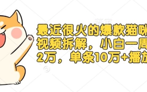 热门猫咪烹饪视频解析，新手一周增粉2万，单条播放破10万+（附详细教程）