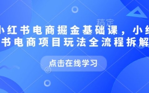 小红书电商盈利课程，全方位解析小红书电商项目操作流程与策略