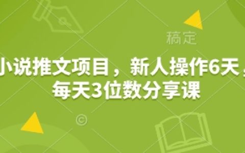 新手入门小说推广计划，六日速成教程，每日百人次分享技巧