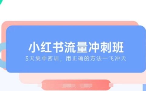 2025年小红书流量引爆课程，精通小红书运营，手把手教你2025年抢占小红书市场