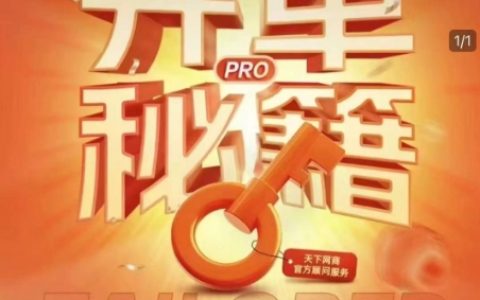 淘宝开店攻略PRO：个性化实战陪跑方案，解决店铺迷茫，助力突破运营瓶颈