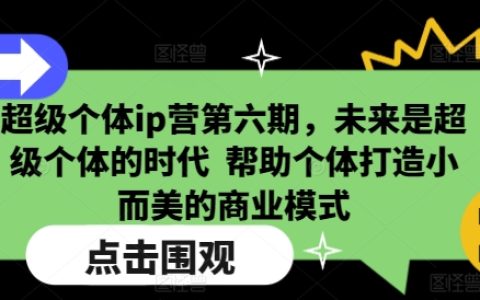 超级个体IP营第六期，未来属于超级个体，助力打造精致商业模式