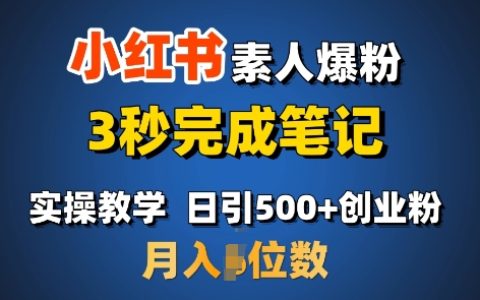 揭秘小红书运营技巧：零基础快速涨粉，每日导流500+，轻松实现月收入过万