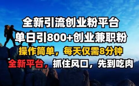 揭秘高效引流技巧：全新创业粉平台，每日轻松增加800+粉丝，简单操作仅需8分钟，兼职创业者的福音【独家分享】