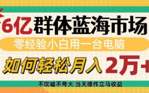 掘金6亿用户蓝海市场，零基础新手用电脑实现轻松月收入过万秘籍揭秘