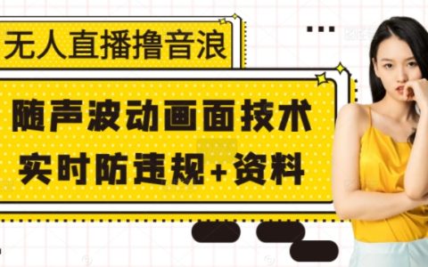 无人直播技巧：撸音浪+动态画面调整+实时防违规策略+详细资料揭秘