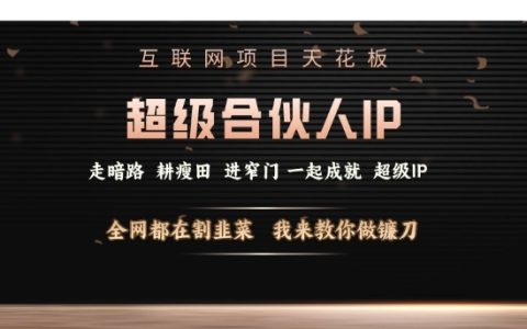 揭秘互联网项目巅峰策略：打造超级合伙人IP，逆转被动局面，教你成为收割市场的高手