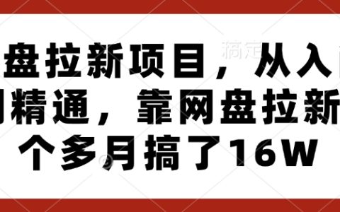 网盘拉新实战教程，从零开始精通网盘推广，3个月实现16万收入