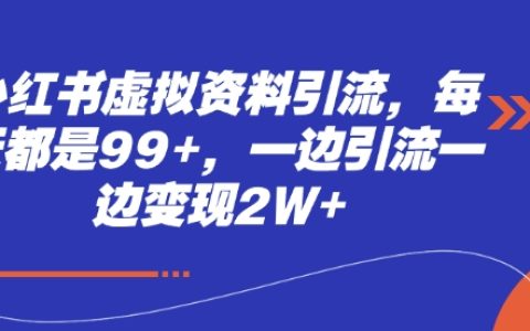 每日99+虚拟账号引流技巧，边引流边实现月入2万+的实战经验分享