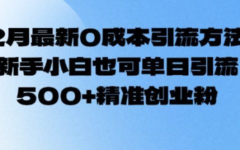 2月最新0成本引流秘籍：新手小白也能日引500+精准创业粉！