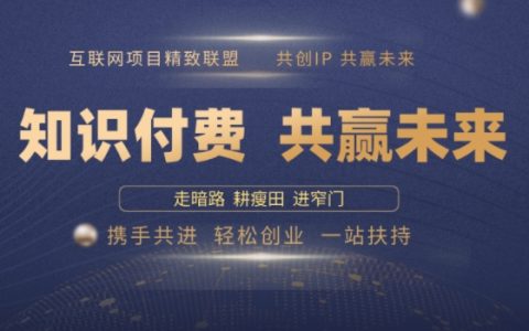 知识付费风口来袭，揭秘2025年如何通过优质项目轻松年赚百万【实用指南】