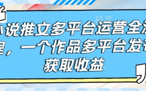 小说推文多平台运营全流程：一个作品轻松实现多平台发布与收益最大化