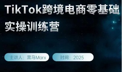 跨境黑马TikTok跨境电商实操训练营