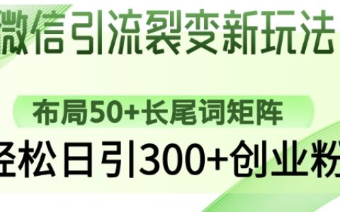 微信引流新技巧：搭建50+长尾词矩阵，实现每日精准引入300+创业粉丝