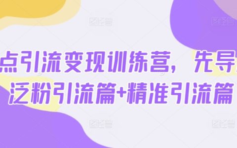 全新热点引流变现课程：先导篇+泛粉引流+精准引流实战训练营