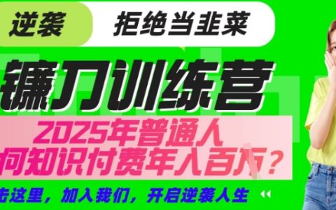 2025年普通人靠知识付费年赚百万 | 镰刀训练营超级IP合伙人项目深度解读（独家揭秘版）