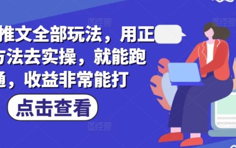 掌握小说推文全套技巧，正确实操方法揭秘，轻松跑通流程，实现高效收益