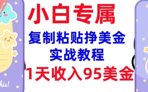 零门槛复制粘贴赚美金，揭秘内部教程，1天收入高达95美元，3分钟快速掌握新技能