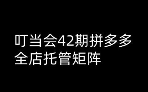 叮当会拼多多打爆班高阶课程第42期-拼多多全店托管运营矩阵技巧