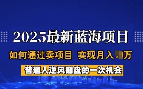 2025年蓝海商机揭秘：普通人如何通过项目销售实现月收入过万全过程指导