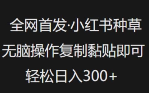 全网独家发布：小红书种草技巧大公开，一键复制粘贴操作，日入多单轻松实现