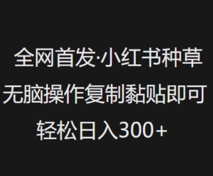 全网首发，小红书种草无脑操作，复制黏贴即可，轻松日入3张