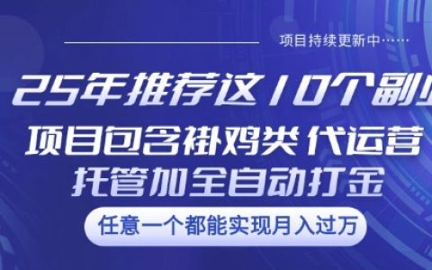 2025年推荐的10个热门副业项目：涵盖褂鸡类、代运营托管类、全自动打金类【全面揭秘】