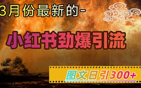 小红书超强引流技巧大公开，每日图文吸引300+粉丝，轻松实现月入过万