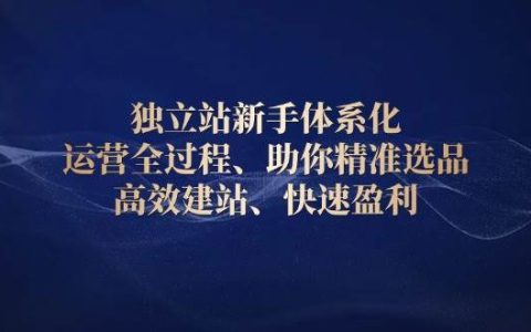 独立站新手入门体系化运营教程，精准选品×高效建站×全域流量×盈利模型全流程拆解