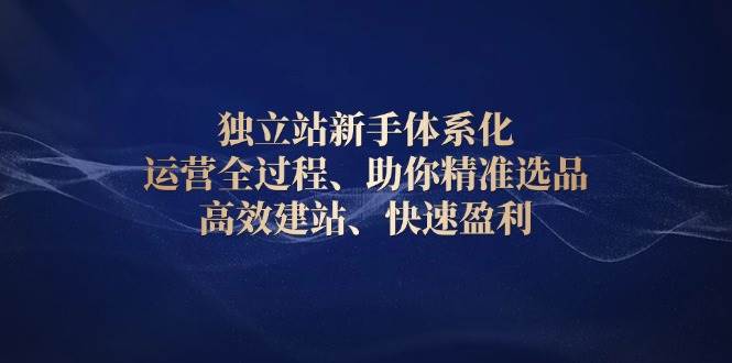 独立站新手入门体系化运营教程，精准选品×高效建站×全域流量×盈利模型全流程拆解