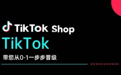 炳森文化TikTokShop高阶陪跑营：从零基础到精通的全方位实战课程